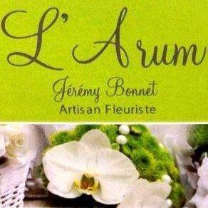 L'ARUM