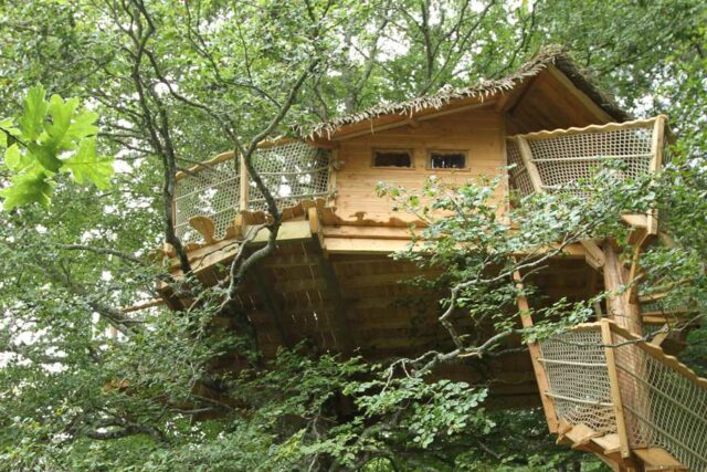 CABANES DANS LES ARBRES